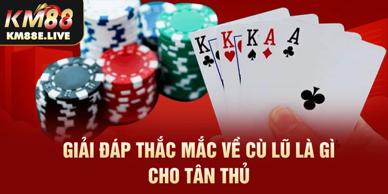 Giải đáp thắc mắc về cù lũ là gì cho tân thủ