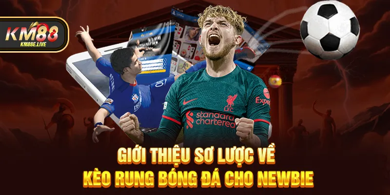 Giới thiệu sơ lược về kèo rung bóng đá cho newbie